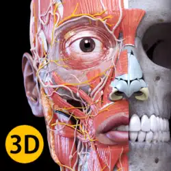 Anatomy 3D Atlas مهكر